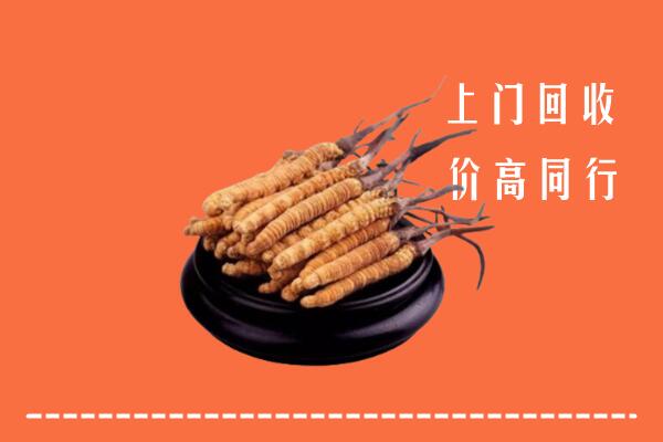 高价求购：阜新县回收散虫草