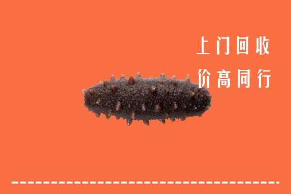 高价求购：阜新县回收海参