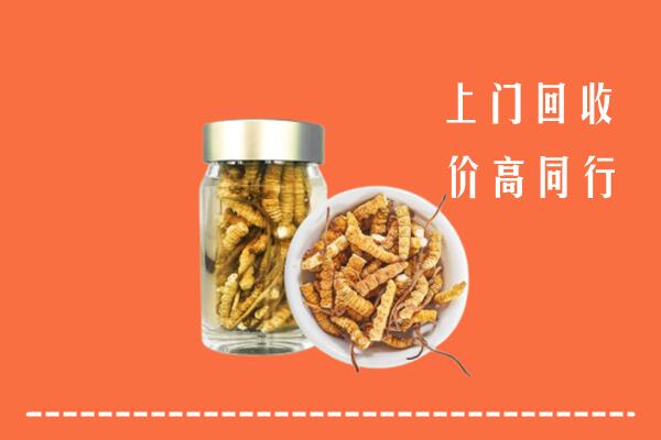 阜新县回收冬虫夏草